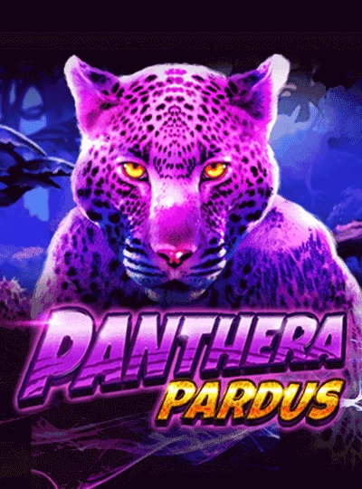 pt888 pt888
